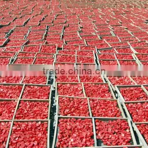 Natural Red Dried Tomato Wholesale Dehydrated thumbnail-6