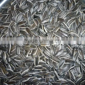 Different Types of Sunflower Seeds thumbnail-4