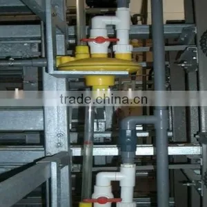 China Sell Automatic Quail Cages and Equipment thumbnail-2