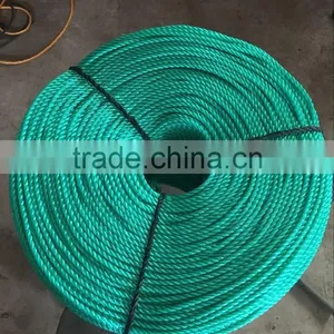 Shandong 8mm 10mm 12mm 14mm PE Color Rope PP Danline Rope thumbnail-2