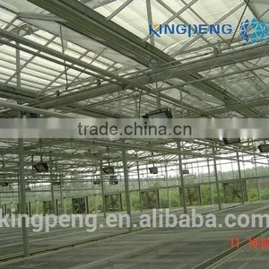 Large Size Multi Span Glass Greenhouse thumbnail-2