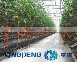 Greenhouse for Tomato Growing thumbnail-1