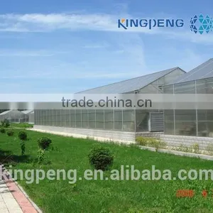 Multi Span PC Sheet Greenhouse thumbnail-2