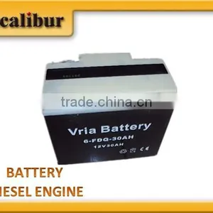 Diesel Single Cylinder Engine Spare Parts- Battery 17AH 22AH 25AH 30AH 36AH For Sale Model S170 S178 S186 thumbnail-1