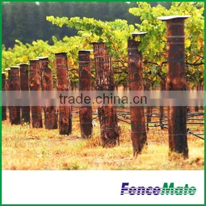 Hot Sale Vineyard Trellis thumbnail-1
