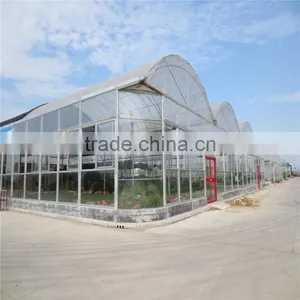 AL Frame PE Material Horticultural Green House Made in China thumbnail-1