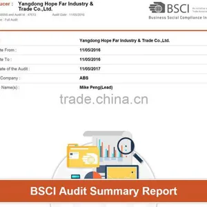 Yangdong Hope Far Industry & Trade Co., Ltd. company overview - view 3 thumbnail