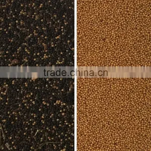 Seed Selecting Machine With CE Certification thumbnail-2