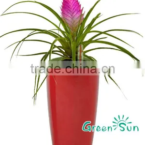 Plastic Hydroponics Plant Pot thumbnail-3