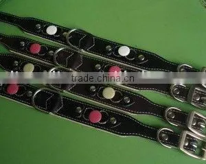 Pet Collar&leash thumbnail-1