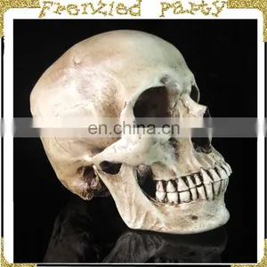 New Arrival Simulation Halloween Decorative Skull FGHS-0005 thumbnail-3