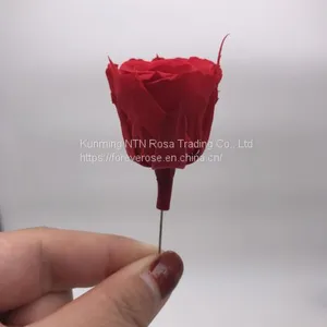 A Grade Everlasting Fresh Flower Decoration Rose Preserved Rose Head thumbnail-5