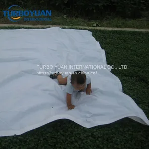 Silver Blue Used Truck Tarp / Insulated Tarp Rolls to Cover the Pool thumbnail-3
