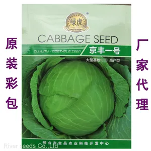 200pcs NON-GMO High Germination Green Red Cabbage Seeds Packet for Planting thumbnail-1
