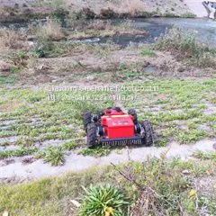 rc Remote Control Lawn Mower, China Remote Slope Mower for Sale Price, Remote Control Mower for Sale thumbnail-1