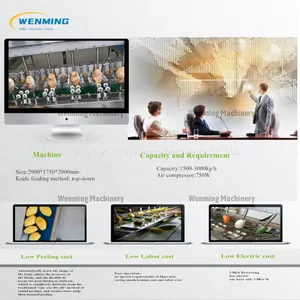 Industrial 16 Heads Mango Peeler Machine thumbnail-5