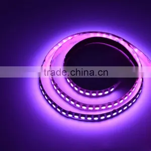 Digital Led Strip Rgb Ws2812b DC 5V 12V SMD 5050 144 Led Pixel Strip Quality Choice thumbnail-2