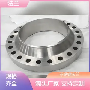 High Temperature and High Pressure Resistant Carbon Steel Stainless Steel Flat Welded Butt Weld Flange Forgings thumbnail-1