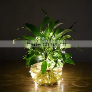 Outdoor Solar Powered LED String Lights Waterproof Copper Wire Lights for Garden Party 800mA Capacity thumbnail-5