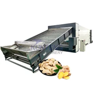 Electric Vegetable Drier Cassava Dryer Ginger Drying and Processing Machine EPC thumbnail-1
