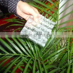 LangTuo/OEM Commercial Upright Ice Machine thumbnail-2