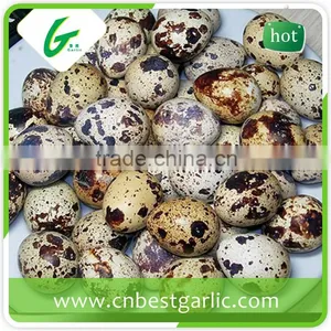 Import Fresh Quail Eggs thumbnail-4