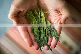 China Famous Tea Tai Ping Hou Kui Tea thumbnail-1