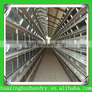 2014 New Design Broiler Battery Cages for Chicken Feeding thumbnail-1