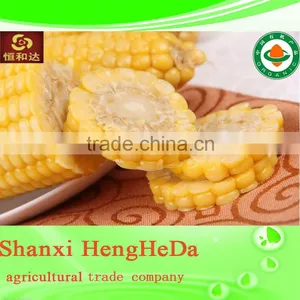 New Style New Products for Teenagers Yellow Corn thumbnail-1