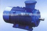 YB2 Series Explosion-proof Three-phase Asynchronous Motor thumbnail-1