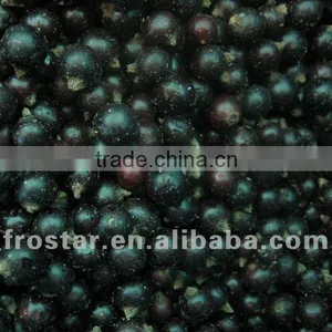 Top Sale Black Currant thumbnail-1