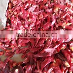 Chinese Best Quality Pepper Nail Clean Machine thumbnail-1