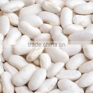 2016 Crop Medium White Kidney Bean thumbnail-1