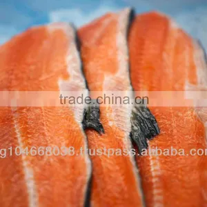 ATLANTIC SALMON FRAMES thumbnail-4