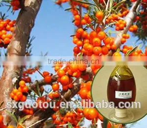 100% Nature Organic Seabuckthorn Seed Oil thumbnail-1