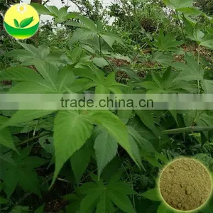 Natural Sweetener Rubusoside Sweet Tea Extract Sweet Tea Leaf thumbnail-2