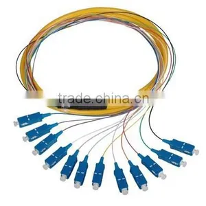 12 Core sc Connector Bundle Fiber Optic Pigtail/12 Core Optical Fiber Pigtail thumbnail-2