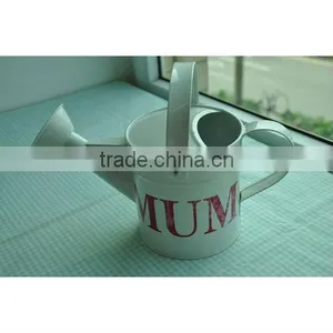 Large Metal Watering Can for Garden thumbnail-5