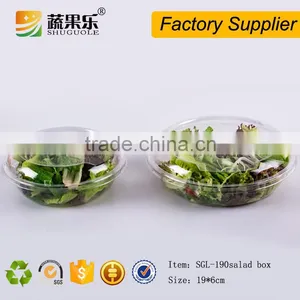 Disposable Plastic Fresh Salad Packing Container With Clear Hinged Lid thumbnail-5