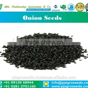 Pure Onion Seeds thumbnail-1