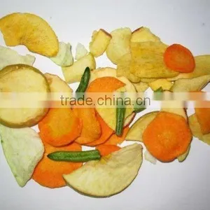 Vacuum Fried Fruits and Vegetables Chips thumbnail-1