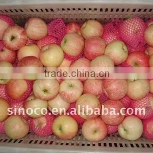 China Red Royal Gala Apple thumbnail-1