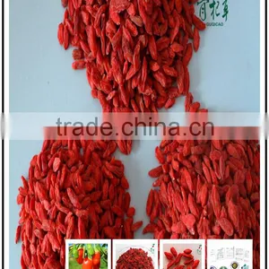 50% 75% Polysaccharides Organic Goji Berry Powder thumbnail-3