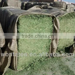 Stevia Rebaudiana in Bulk thumbnail-1