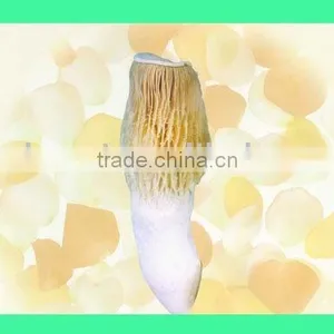 Bailing Mushroom thumbnail-1