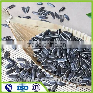 24/64 25KG Sunflower Kernels in Pack thumbnail-1