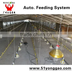 Automatic Poultry House Animal Feeding Line for Broiler Chicken Poultry Equipment in Animal Feeding System thumbnail-5