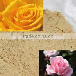 China Local Green Fertilizer Amino Acid Antibiotic Powder in High Quality and Reasonable Price thumbnail-4