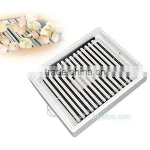 Chicken Eggs Hatcher and Incubator thumbnail-1