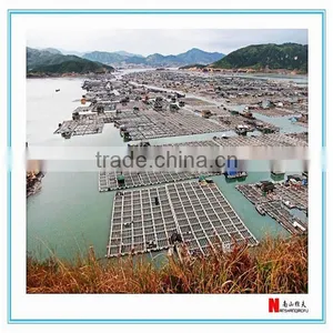 Agriculture Popular Super Low Price China Sisal Rope thumbnail-5